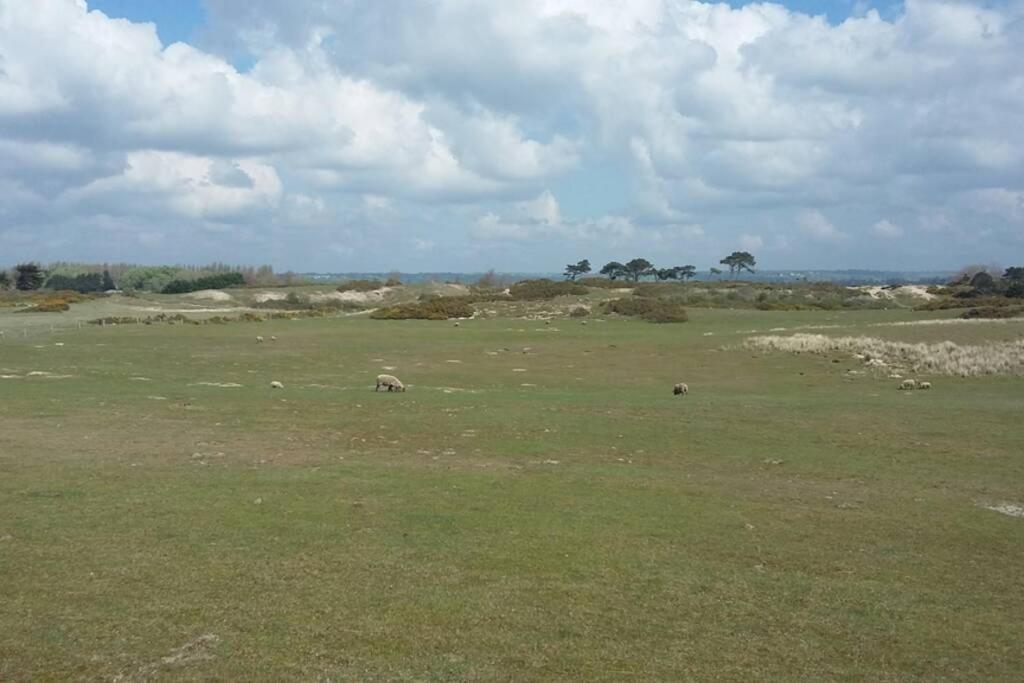 Gite Ouest De La Pointe D'Agon المظهر الخارجي الصورة