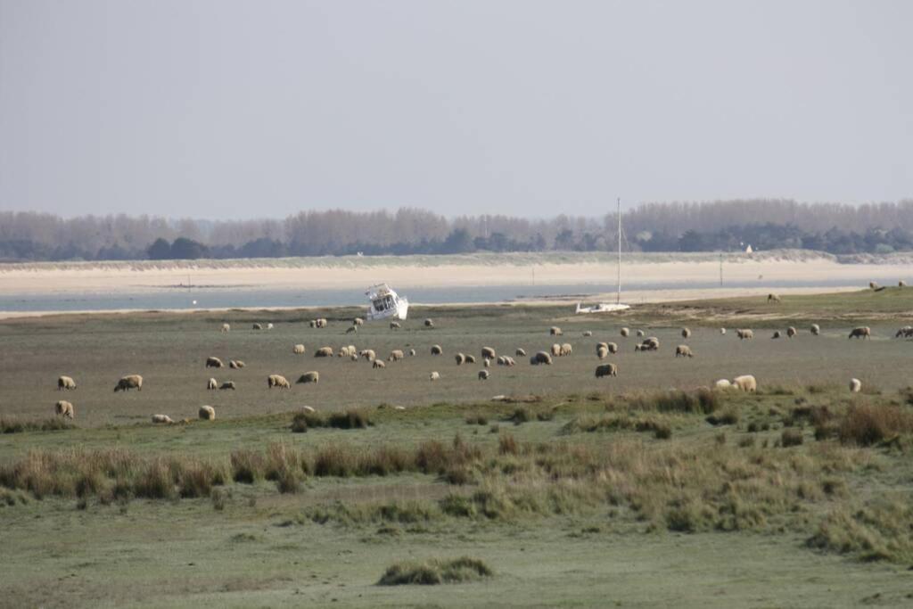 Gite Ouest De La Pointe D'Agon المظهر الخارجي الصورة
